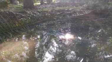 Sabah güneşi su birikintisinden yansıyor. 