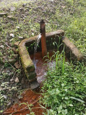 Çiftlikteki çürümüş su sızıntısı borusu