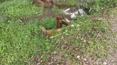 Çiftlikteki çürümüş su sızıntısı borusu