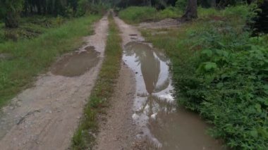 Yağmurdan sonra tarlaya giden yol.