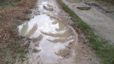 Yağmurdan sonra tarlaya giden yol.