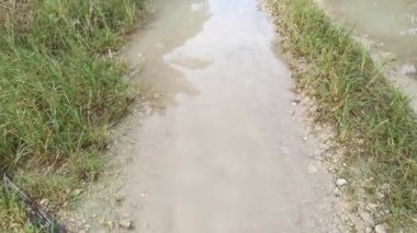 Yağmurdan sonra tarlaya giden yol.