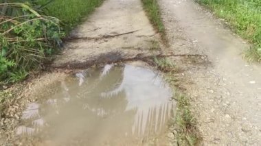 Yağmurdan sonra tarlaya giden yol.