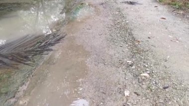 Yağmurdan sonra tarlaya giden yol.