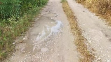 Yağmurdan sonra tarlaya giden yol.