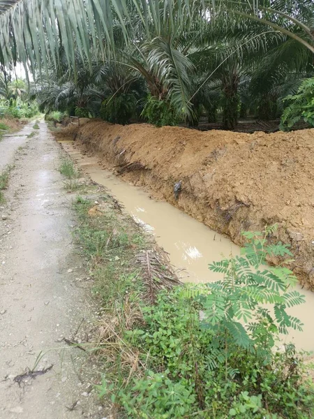 Drainage Creusé Long Route Rurale — Photo