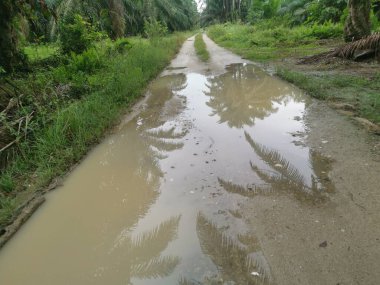 Yağmurdan sonra tarlaya giden yol.
