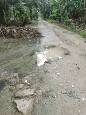 Yağmurdan sonra tarlaya giden yol.