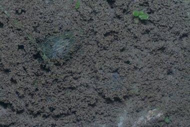 Kumlu yüzey zemininin dokusu