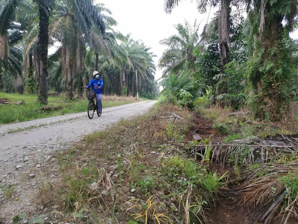 Perak Malasia Noviembre 2021 Escena Hombre Bicicleta Para Trabajar Camino — Foto de Stock