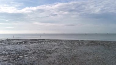 Bataklık sahilinden uzaktaki denize bakıyor..