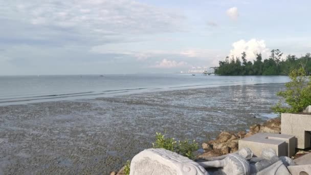 Guardando Fuori Dalla Spiaggia Paludosa Mare Distanza — Video Stock