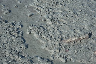 Çamurlu bataklık kumsalının çevresindeki gelgit manzarası