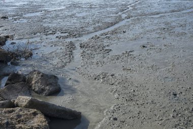 Çamurlu bataklık kumsalının çevresindeki gelgit manzarası