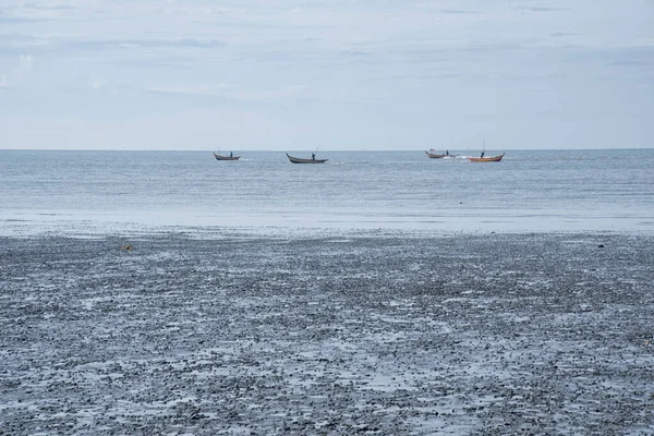 泥だらけの沼のビーチの周りの干潮の風景 — ストック写真