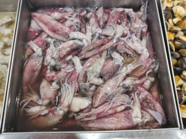 Taze kalamar loligosu tepsisi