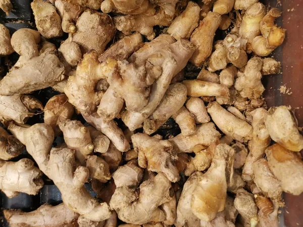 Pile Fresh Loose Ginger — Stockfoto