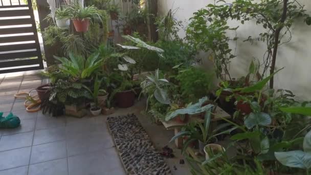 Περιστρεφόμενο Μεταλλικό Ύφασμα Σταθεί Στο Εσωτερικό Του Κήπου Μπροστινή Βεράντα — Αρχείο Βίντεο