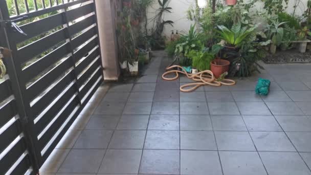 Support Tissu Métallique Rotatif Intérieur Porche Avant Jardin — Video