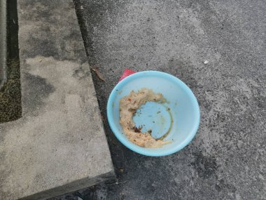 Evsiz hayvanları beslemek için yol kenarındaki açık mavi plastik kase..