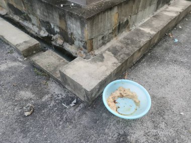 Evsiz hayvanları beslemek için yol kenarındaki açık mavi plastik kase..