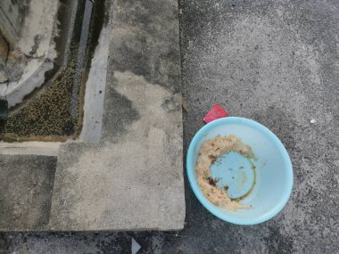 Evsiz hayvanları beslemek için yol kenarındaki açık mavi plastik kase..