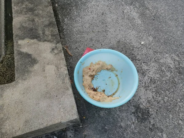 Evsiz hayvanları beslemek için yol kenarındaki açık mavi plastik kase..