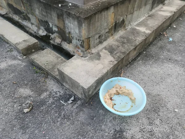 Evsiz hayvanları beslemek için yol kenarındaki açık mavi plastik kase..