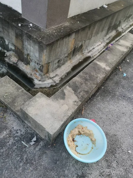집없는 동물들에게 먹이를 길가에 더러운 파란색 플라스틱 — 스톡 사진