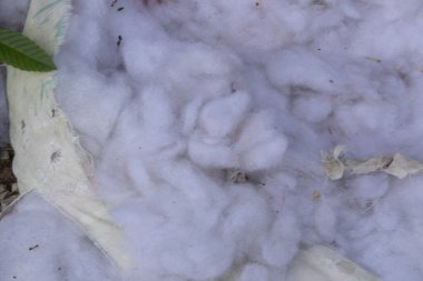 Yırtılmış ve yıpranmış pamuklu yatak 