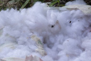 Yırtılmış ve yıpranmış pamuklu yatak 