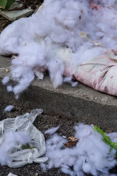 Torn Worn Out Cotton Mattress — Fotografia de Stock