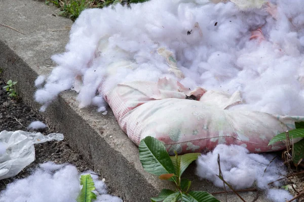 Torn Worn Out Cotton Mattress — 图库照片
