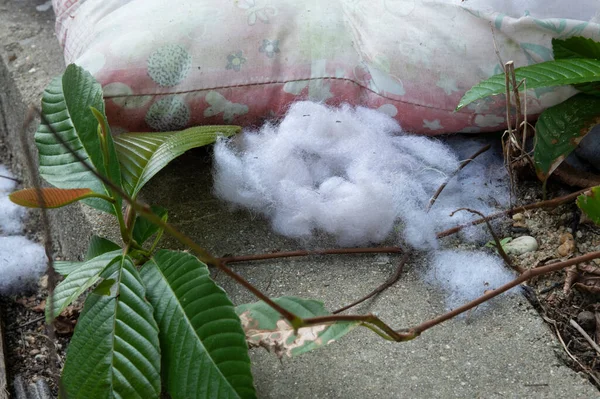 Torn Worn Out Cotton Mattress — 图库照片