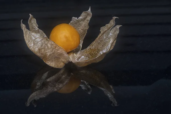 熟したグーズベリーの果実の終わりのショット — ストック写真