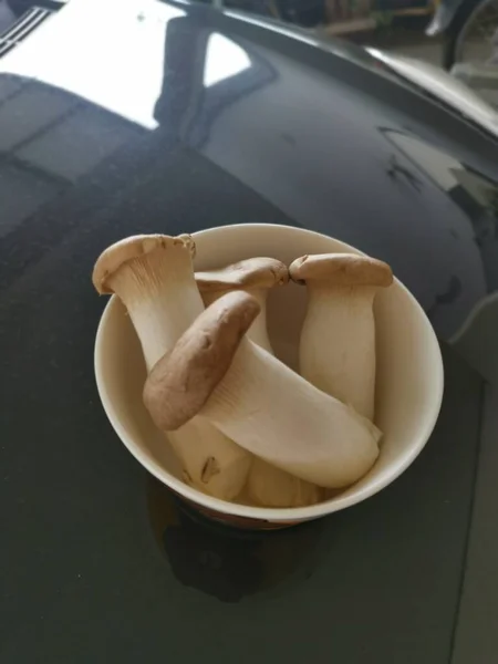 Pleurotus Eryngii Rey Comestible Las Setas Trompeta — Foto de Stock