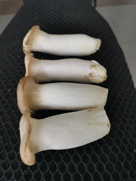银莲花 可食国王号角蘑菇 — 图库照片