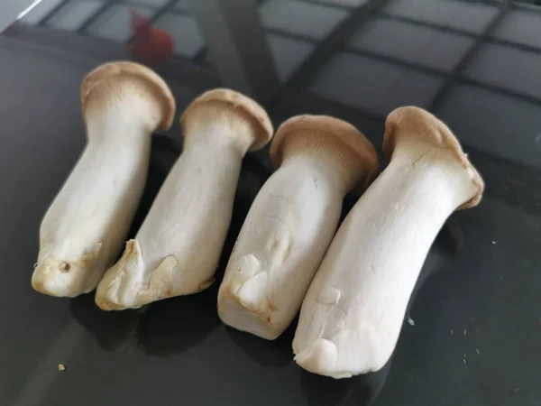 Pleurotus Eryngii Edible King Trumpet Mushrooms — Fotografia de Stock
