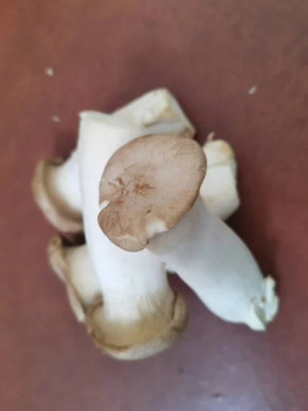 Pleurotus Eryngii Edible King Trumpet Mushrooms — Stockfoto