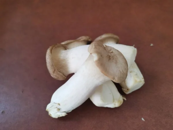 Pleurotus Eryngii Jedlé Královské Houby Trumpety — Stock fotografie