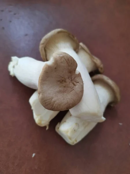 Pleurotus Eryngii Edible King Trumpet Mushrooms — Stock Photo, Image