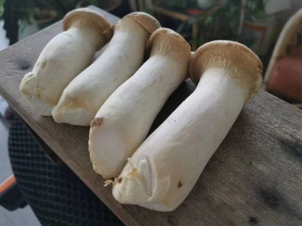 Pleurotus Eryngii Rei Comestível Trompete Cogumelos — Fotografia de Stock