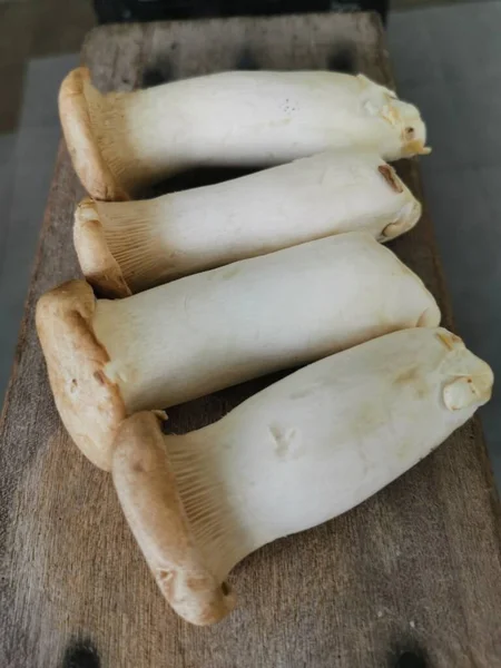 Pleurotus Eryngii Edible King Trumpet Mushrooms — Stockfoto