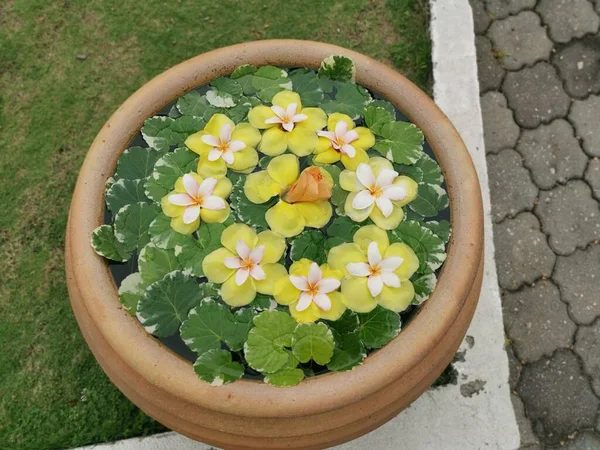 Top Views Flowery Petal Leaves Surface Vintage Clay Vase — Fotografia de Stock
