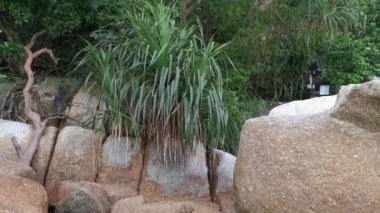 scene of rocky boulders by the beach
