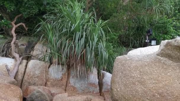 Scene Rocky Boulders Beach — Wideo stockowe