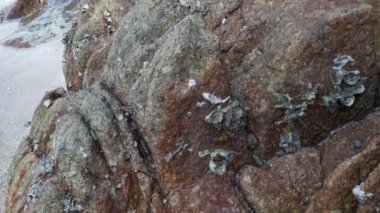 scene of granite boulders by the beach