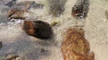 scene of granite boulders by the beach