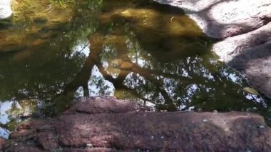 scene of granite boulders by the beach