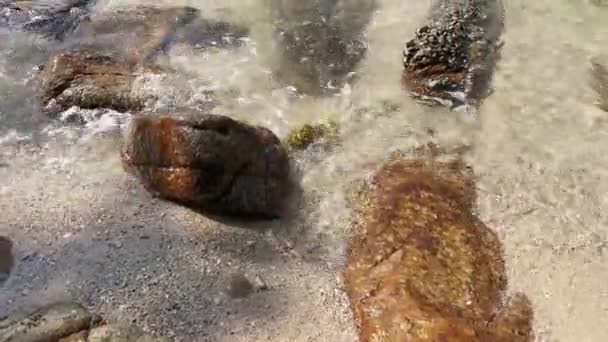 Scene Granite Boulders Beach — Stockvideo